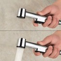 Head shower ICSP F1671305-1