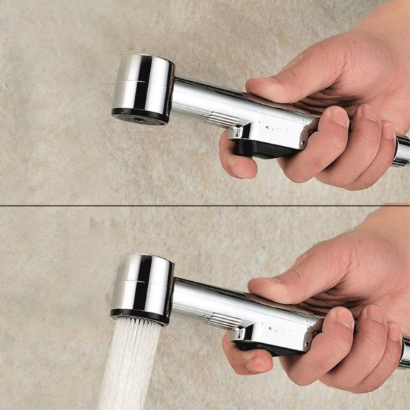 Head shower ICSP F1671305-1