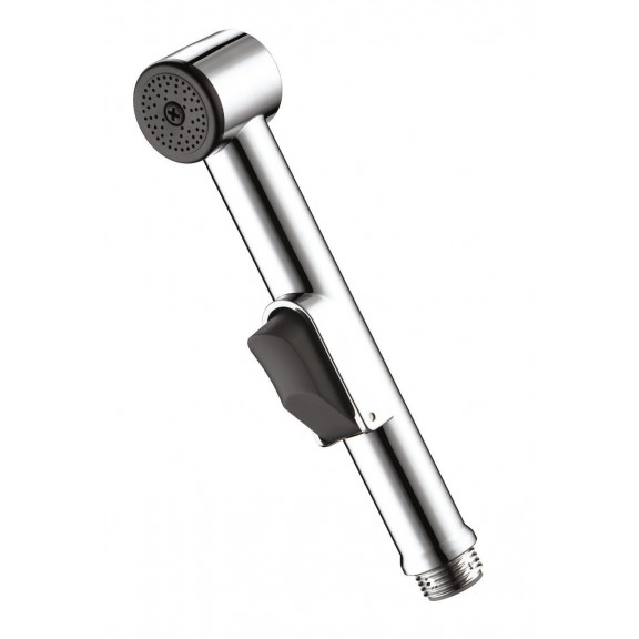 Head shower ICSP F1671305-1