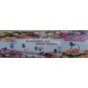  Badaccessoires ICCA  8300 