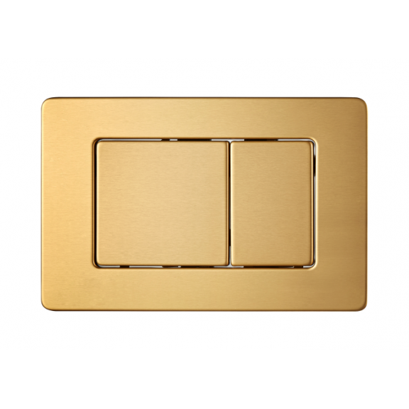 BG 097L BRUSH GOLD + PNEUMATIC BUTTON FRAME AND PNEUMATIC CYLINDER