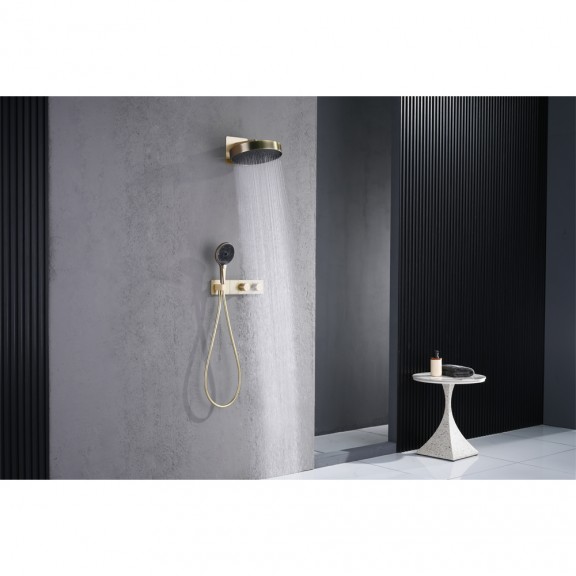 BIAGIO INWALL MOUNTED FAUCETS/TOP SHOWER/BARS 634577 BRUSH GOLD