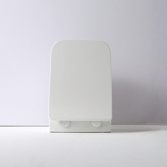 Wall hung toilet ICC 5135MW