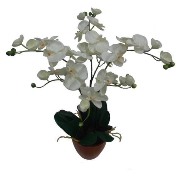 Plants Natural Touch >> ICNT 12126  - Plants