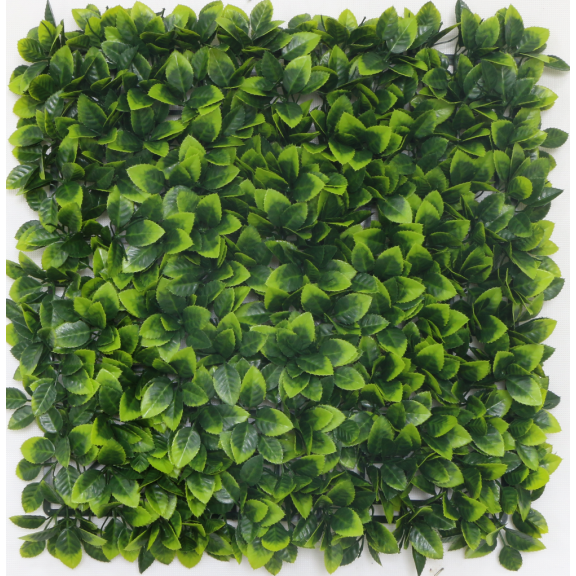 Растения GREEN WALL >> ICNT 125050  - Растения