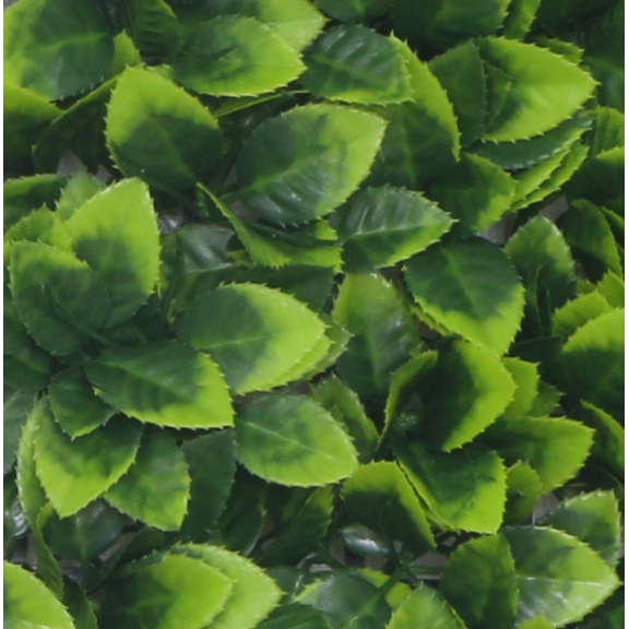 Растения GREEN WALL >> ICNT 125050  - Растения