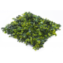 Растения GREEN WALL >> ICNT 145050  - Растения