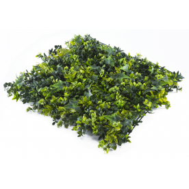 Растения GREEN WALL >> ICNT 145050