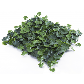 Растения GREEN WALL >> ICNT 155050