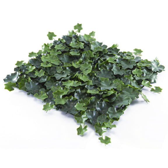 Растения GREEN WALL >> ICNT 155050  - Растения