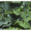 Растения GREEN WALL >> ICNT 155050  - Растения