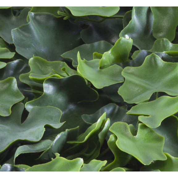 Растения GREEN WALL >> ICNT 155050  - Растения