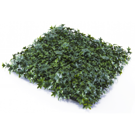 Растения GREEN WALL >> ICNT 165050