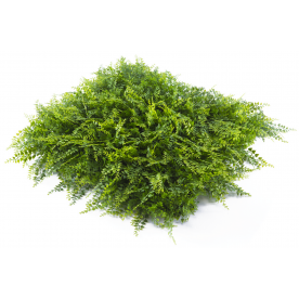 Растения GREEN WALL >> ICNT 175050