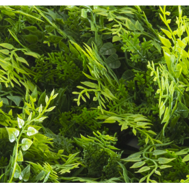 Растения GREEN WALL >> ICNT 175050