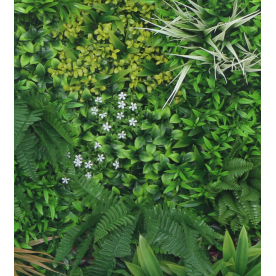 Растения GREEN WALL >> ICNT 18100100