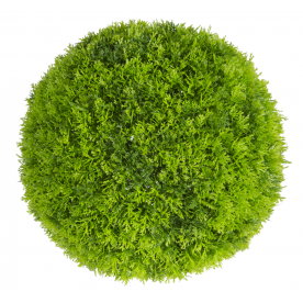 Растения GREEN NATURE>> ICNT 190038