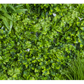 Растения GREEN WALL >> ICNT 19100100