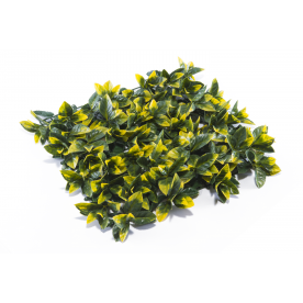 Растения GREEN WALL >> ICNT 195050