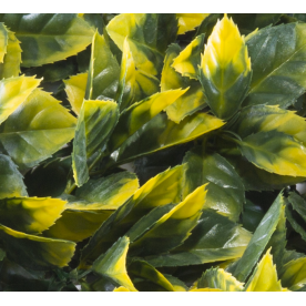 Растения GREEN WALL >> ICNT 195050